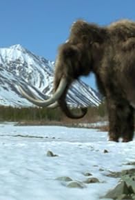 Primary photo for A Mammoth Undertaking