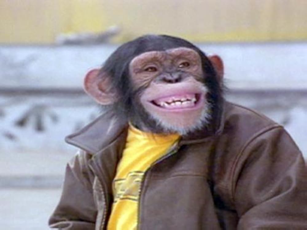 MVP 2 Most Vertical Primate MVP Most Vertical Primate IMDb