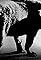Daido Moriyama: Stray Dog of Tokyo's primary photo