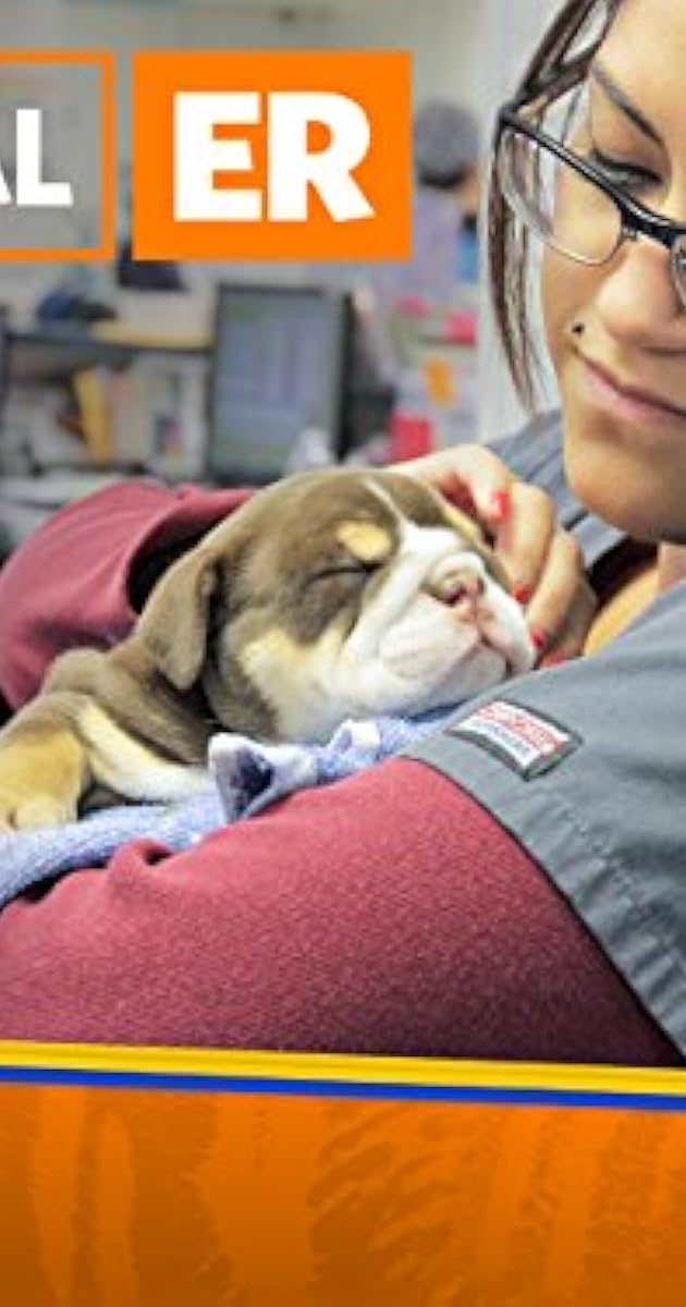 Animal ER (TV Series 2016 ) IMDb