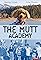 The Mutt Academy's primary photo