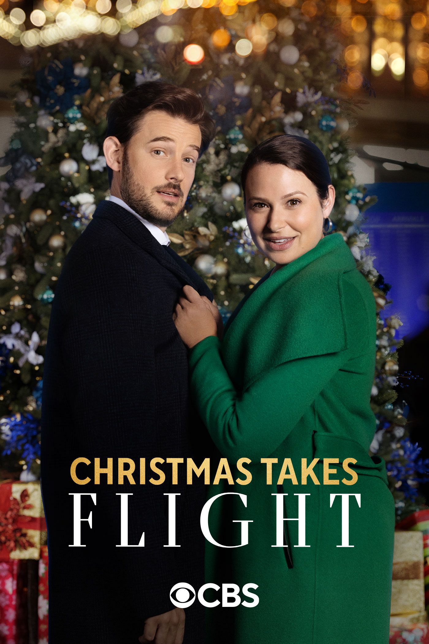Poster of Christmas Takes Flight