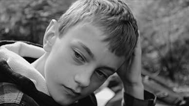 पोस्टर देखें