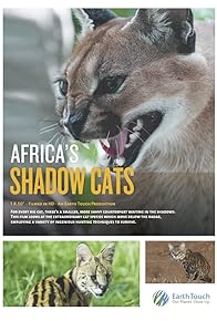 Primary photo for Shadow Cats
