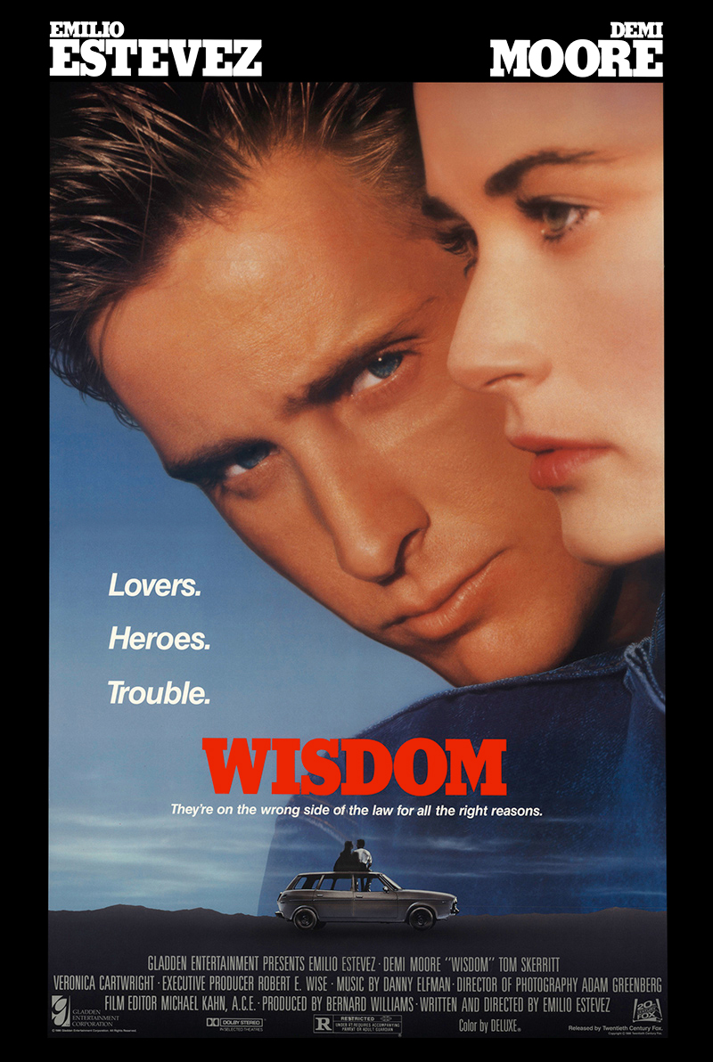 Poster of Wisdom