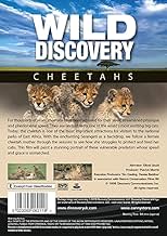 Wild Discovery (TV Series 1995–2002) - IMDb