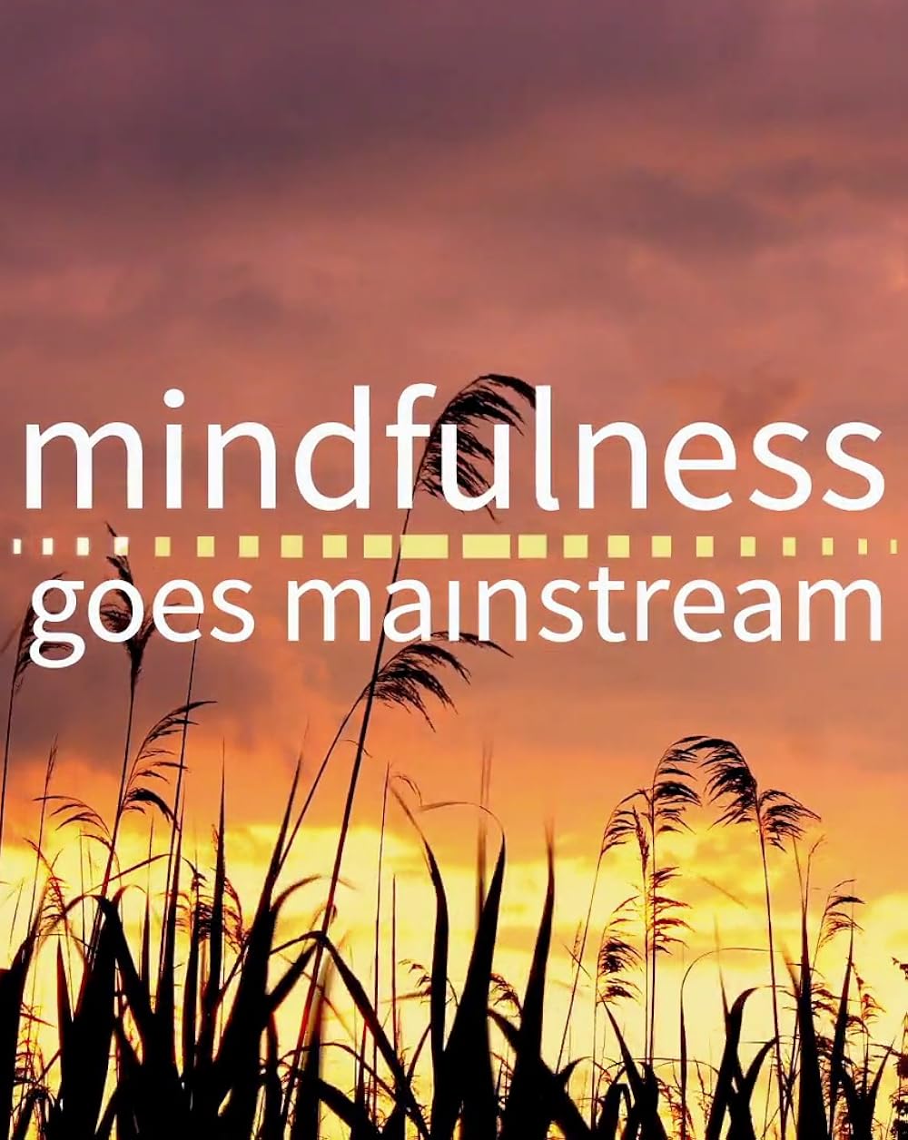 Mindfulness Goes Mainstream (TV Movie 2017) IMDb