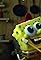 In Search of Camp Noodist/Kitchen Sponge's primary photo