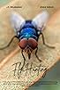 Primary photo for Fly Hunting Primary photo for Fly Hunting
