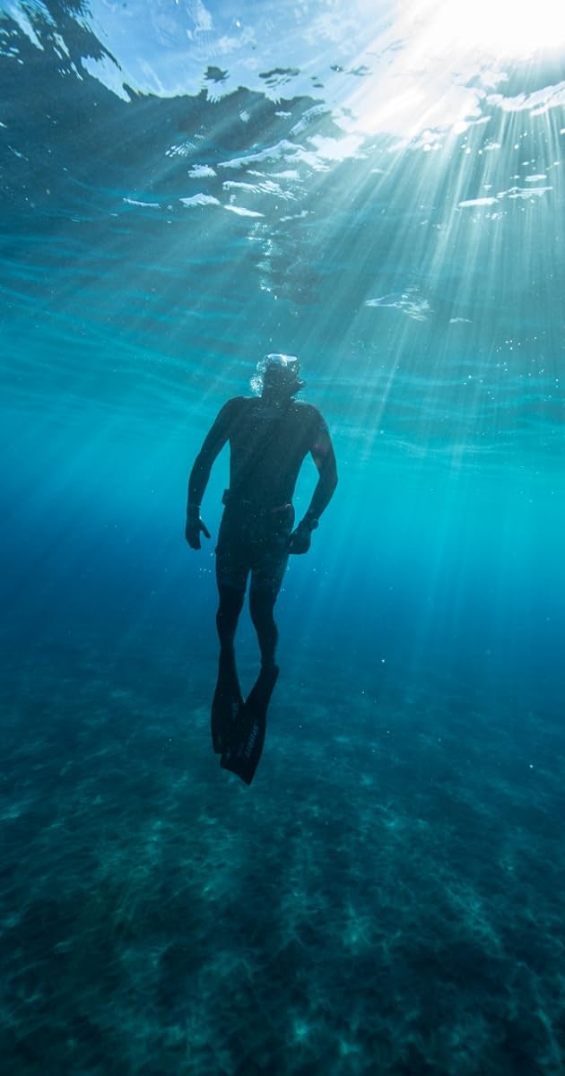 Peter Zuccarini News IMDb