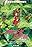 The Secret World of Arrietty