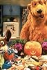 Primary photo for Halloween Bear Primary photo for Halloween Bear