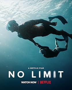 Poster of No Limit
