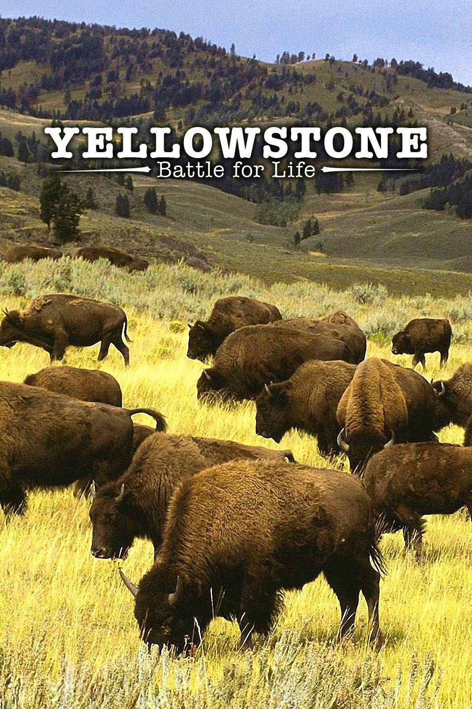 Yellowstone (TV Mini Series 2009) - IMDb
