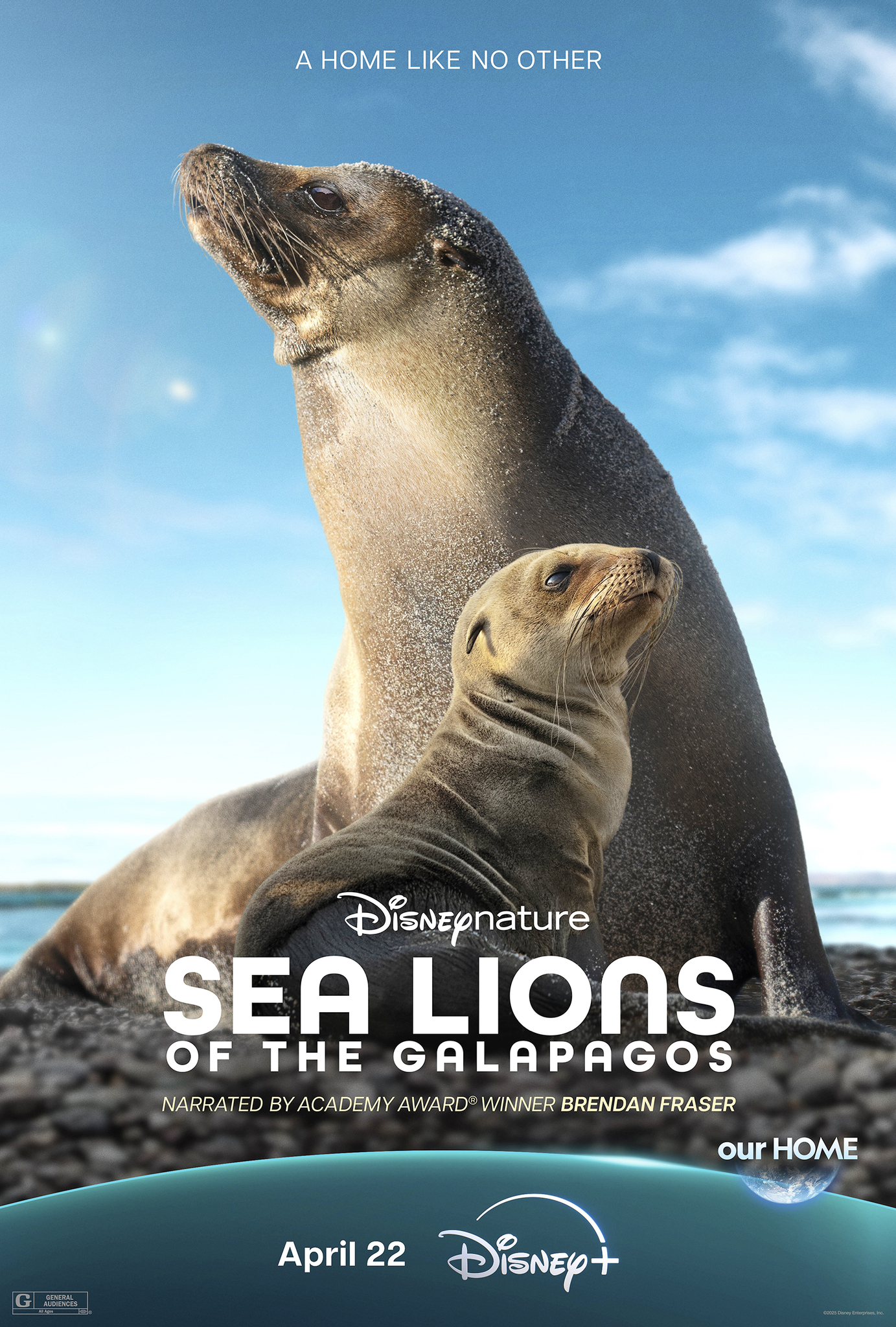 Poster of Sea Lions of the Galapagos