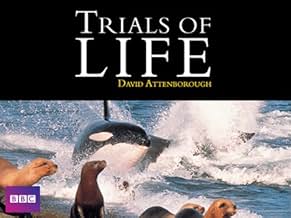 पोस्टर देखें