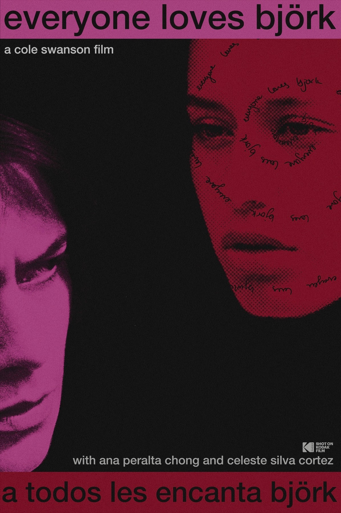 Everyone Loves Björk