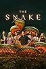 Primary photo for The Snake
