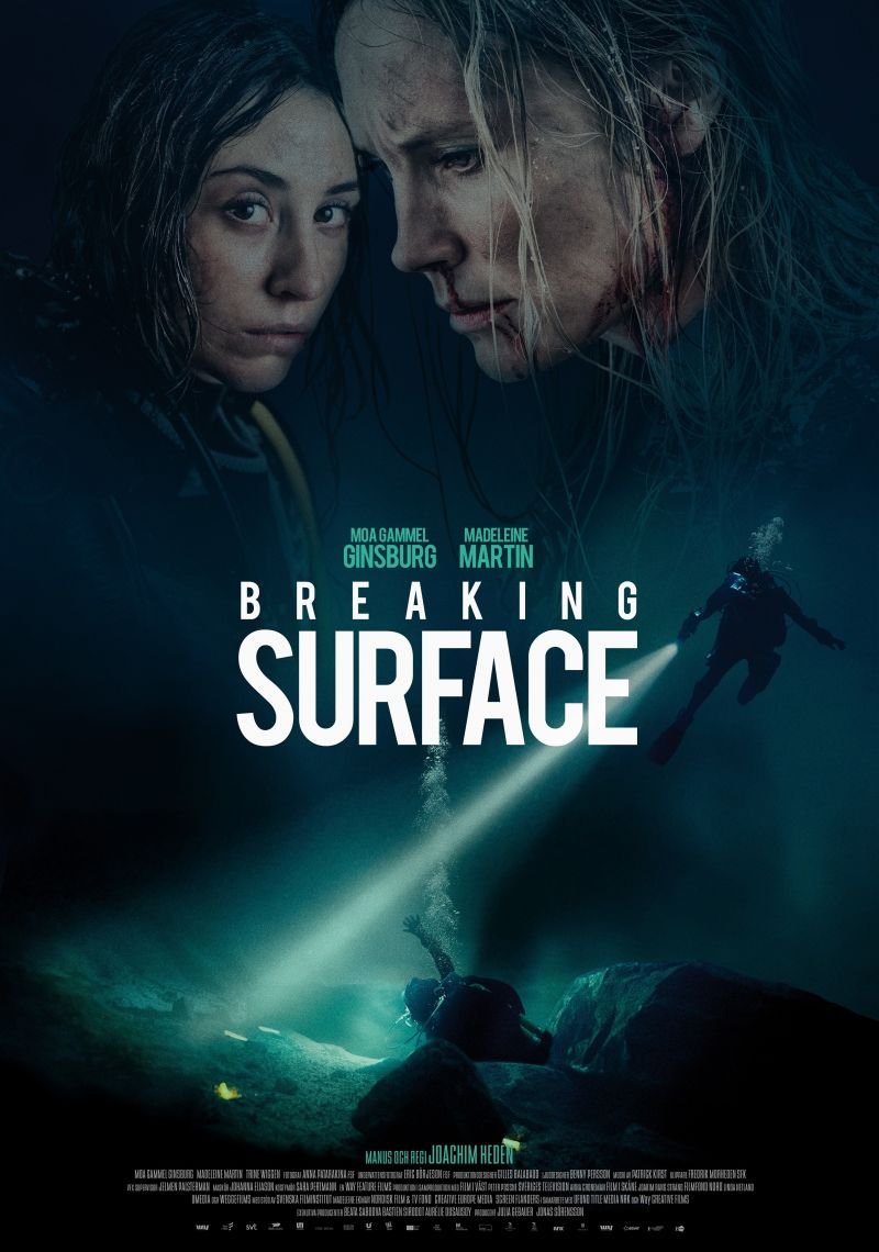 Poster of Breaking Surface