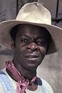 Brock Peters's primary photo Brock Peters's primary photo