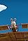 Flying Rabbids/Voodoo Rabbid/Animal Rabbid's primary photo