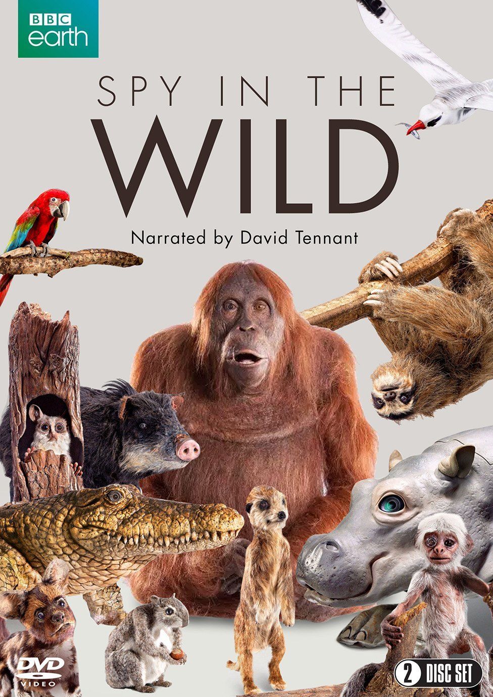 Poster of Spy In The Wild