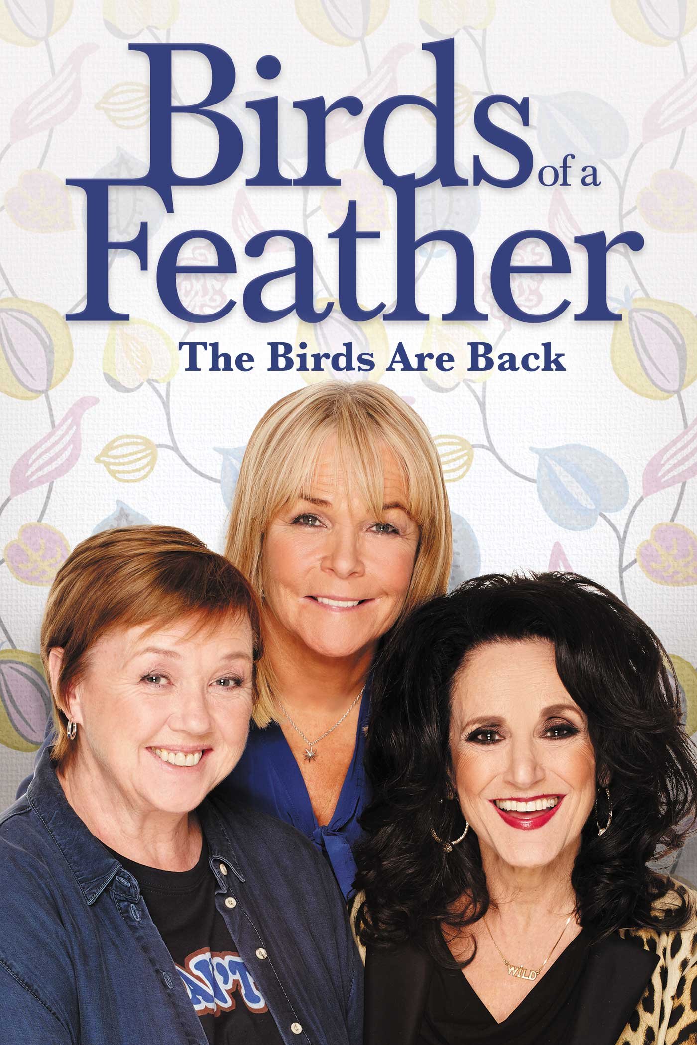 Poster of Birds Of A Feather