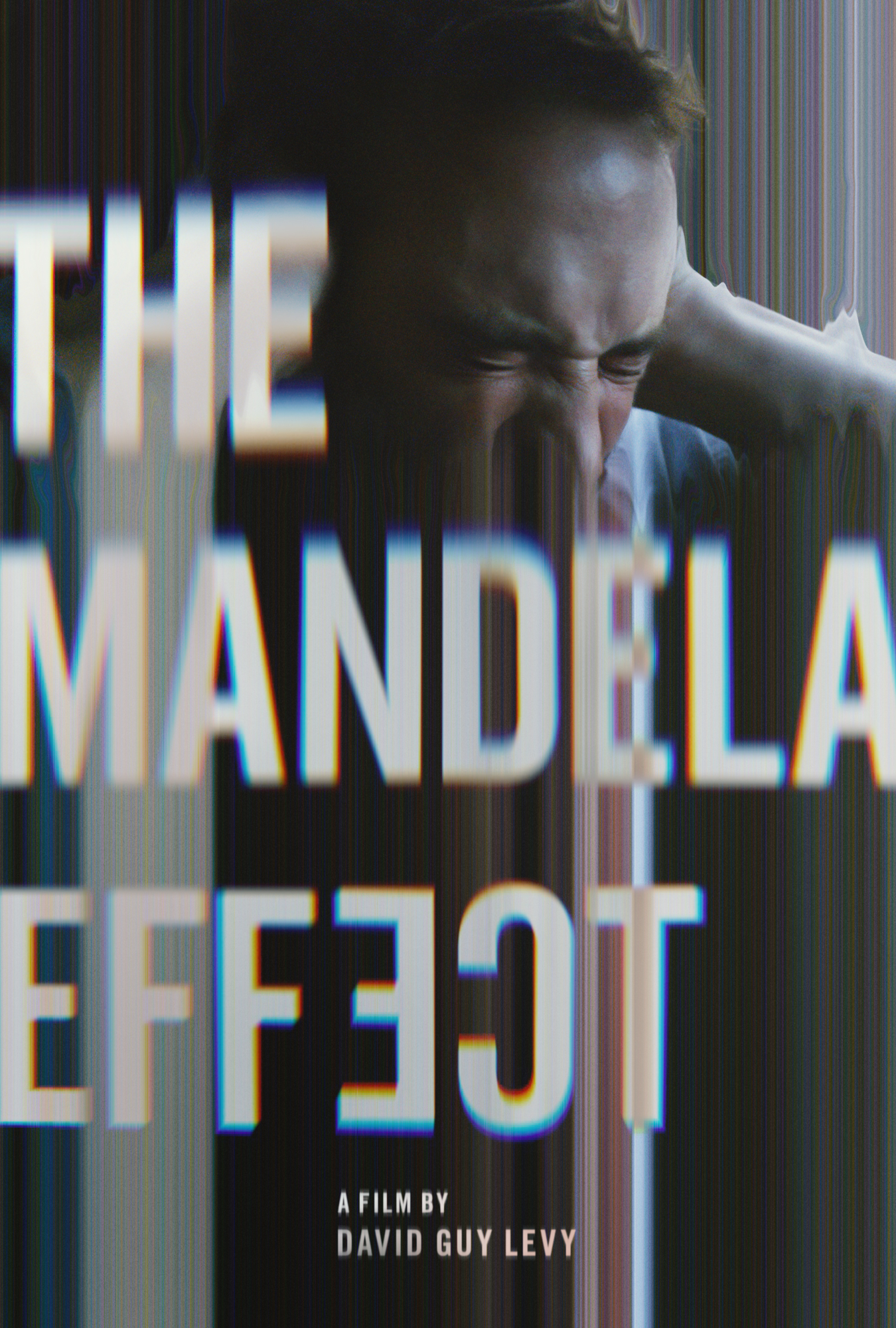 Poster of The Mandela Effect