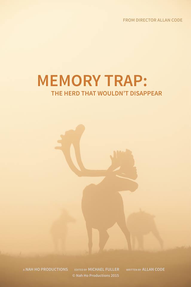 Memory Trap: The Herd that Wouldn't Disappear