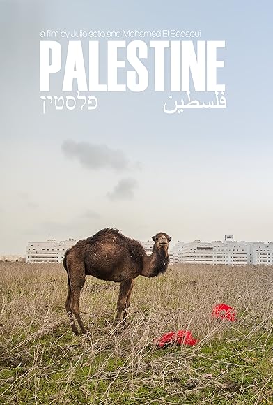 Primary photo for Palestine Primary photo for Palestine