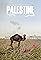 Palestine's primary photo