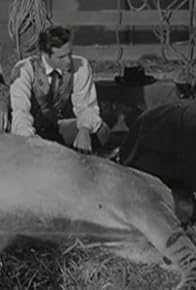 Primary photo for Doc Fabrique's Greatest Case