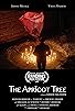 Primary photo for The Apricot Tree Primary photo for The Apricot Tree