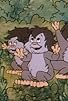 Primary photo for Little Big Foot Primary photo for Little Big Foot