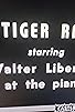 Primary photo for Tiger Rag Primary photo for Tiger Rag
