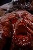 Primary photo for Re-Animator (1985) - Video review