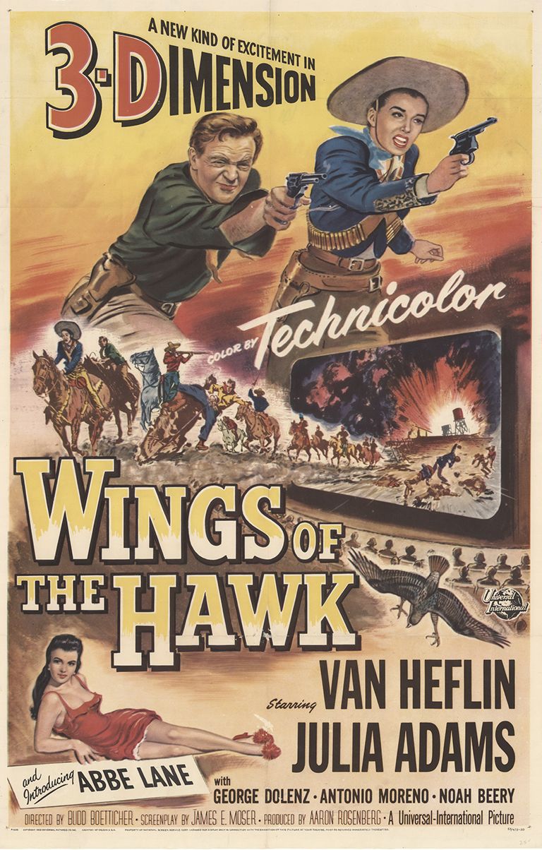Poster of Wings of the Hawk