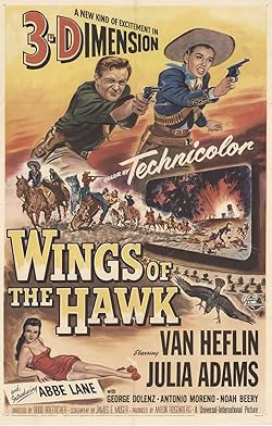 Poster of Wings of the Hawk