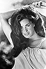 Edy Williams's primary photo Edy Williams's primary photo