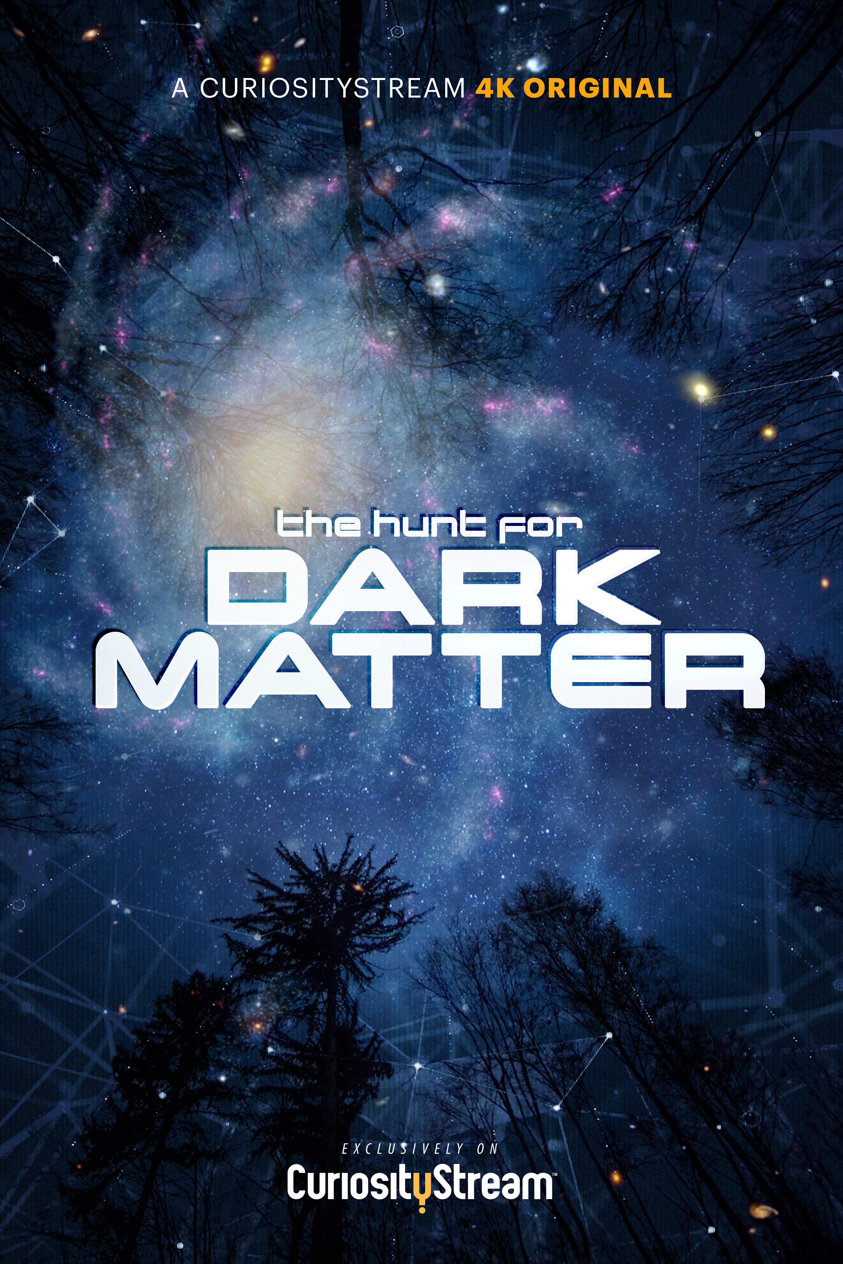 Poster of The Hunt for Dark Matter