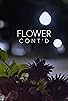 Primary photo for Flower Cont'd Primary photo for Flower Cont'd