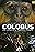 Colobus: The Tales of a Monkey Forest