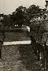 Primary photo for The Private Officer Primary photo for The Private Officer