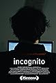 Incognito's primary photo