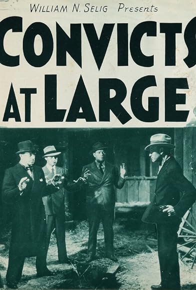 Primary photo for Convicts at Large Primary photo for Convicts at Large