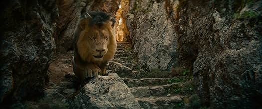 पोस्टर देखें