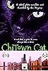 Primary photo for Chi-Town Cat