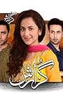 Jawed Sheikh, Alyy Khan, Saba Faisal, Ahmed Ali Akbar, Seemi Pasha, Affan Waheed, and Yumna Zaidi in Guzaarish (2015)