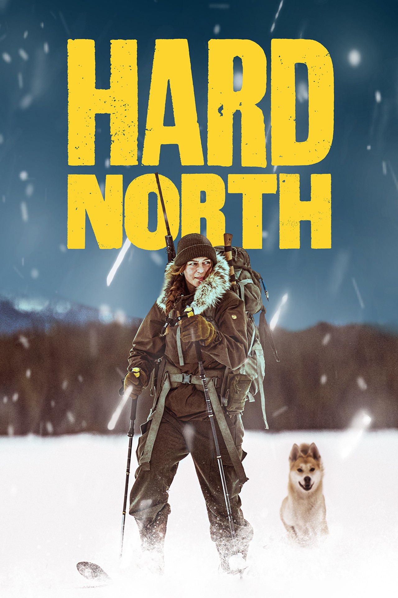 Poster of Hard North