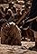 The Martyr's primary photo